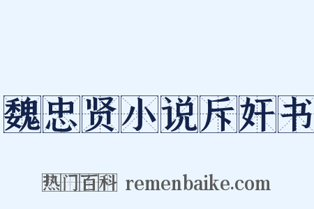 魏忠贤小说斥奸书是什么意思的图片